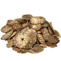 Artikel Holzscheiben Deko Betelnuss Scheiben Areka 1-3,5cm 300g