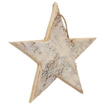 Artikel Holzstern Dekohänger Weiß Natur Ø20cm aus Birkenrinde