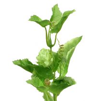 Artikel Hopfenzweig 70cm Grün 2St Künstliche Pflanze wie echt !