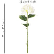 Artikel Hortensie künstlich langstielig 60cm cremefarbene Blüte