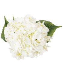 Artikel Hortensie künstlich langstielig 60cm cremefarbene Blüte