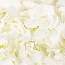 Artikel Hortensie künstlich langstielig 60cm cremefarbene Blüte