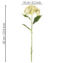 Artikel Künstliche Hortensie aus Seidenstoff mit langem Stiel in Creme-Grün, 60 cm
