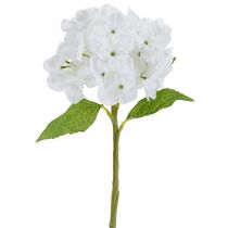 Hortensie 35cm Weiß