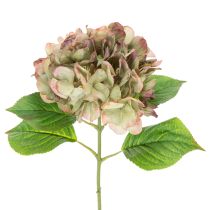 Artikel Künstliche Hortensie aus Textil und Kunststoff mit 46 cm Länge in Grün-Rosa