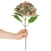 Artikel Künstliche Hortensie aus Textil und Kunststoff mit 46 cm Länge in Grün-Rosa