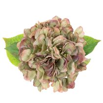 Artikel Künstliche Hortensie aus Textil und Kunststoff mit 46 cm Länge in Grün-Rosa