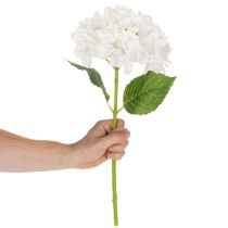 Artikel Künstliche Hortensie mit langem Stiel 48cm Weiß für Wohnraumdekoration
