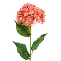 Artikel Hortensie Rosa 80cm 1 St