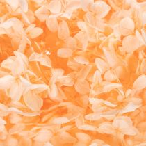 Artikel Hortensie Trockenblume hellorange 65cm für Wohnraumdekoration