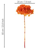 Artikel Konservierte Hortensie orange 60 cm mit großem Blütenkopf