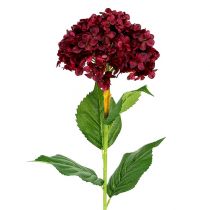 Hortensie künstlich Dunkelrot 80cm 1St