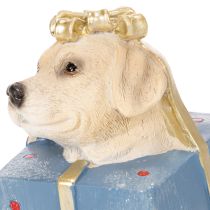 Artikel Dekofigur Hund sitzend im Geschenkpaket 20cm Kunstharz handbemalt