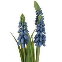 Artikel Hyazinthe künstlich Perlhyazinthe Blau im Glas H22cm 2St