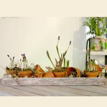 Artikel Blumentopf Ton Ø3,5cm H3cm 10St