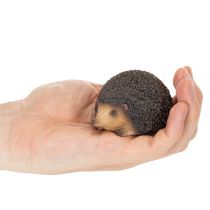 Artikel Igel Dekoration aus Polyresin, Braun, 8 cm für Innenbereich