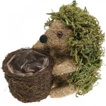 Artikel Igel mit Korb Grün, Herbstdeko zum Bepflanzen, Deko-Pflanzkorb H24cm Ø9,5cm