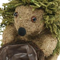 Igel mit Korb Grün, Herbstdeko zum Bepflanzen, Deko-Pflanzkorb H24cm Ø9,5cm