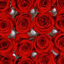 Artikel Infinity Rosen Echte Blüten Mini Rosenköpfe Rot Ø3cm 16 St