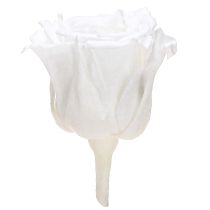 Artikel Infinity Rosen, echte Mini-Rosenköpfe, Weiß, Ø 3 cm, 16 Stück