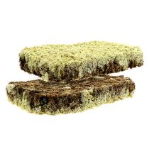 Artikel Moos Islandmoos Finnisch Extra Polar 2 Platten
