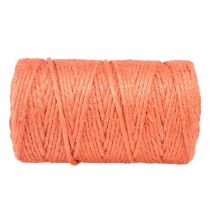Artikel Juteband Jutekordel Dekoband Jute Orange Ø4mm 100m