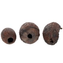 Artikel Kakaofrucht aus Holz Natur 10-18cm Braun 15 Stück für Dekoration
