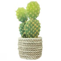 Artikel Künstliche Kakteen im Polyresin-Topf, Sortiert, Höhe ca. 20–21 cm, 2 Stück