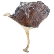 Kalix Pilz Weiß gewaschen 100St