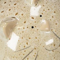 Artikel Keramik-Katze Dekofigur Beige Rund 13cm für Wohn- und Schlafzimmer