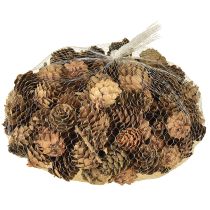 Artikel Kiefernzapfen Natur Kleine Zapfen Deko im Netz 2,5-3,5cm 300g