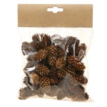 Artikel Kleine Hemlockzapfen Natur braun 3-4cm 100g für Dekoration