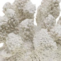 Maritime Deko Koralle Weiß künstlich Polyresin klein 13,5x12 cm