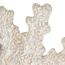 Artikel Korallen Deko Keramik Maritime Tischdeko Beige H14,5cm