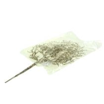 Artikel Korallenzweig mit Glimmer hellgold 3St