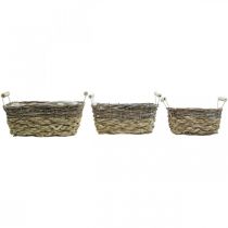 Artikel Pflanzkorb 3er-Set Holz und Schilf rechteckig mit Griffen natur-weiß 30x25,5x21cm