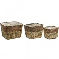 Artikel Pflanzkörbe aus Naturholz und Schilf, eckig, naturfarben, 3er-Set, L 29,5/26/23 cm, H 21/19/16 cm