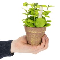 Artikel Künstliche Kräutertöpfe aus Kunststoff, 15 cm, grüne Blätter, 3er-Set