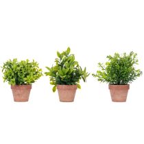 Artikel Künstliche Zimmerpflanze im Topf, 18 cm, 3-teiliges Set, Grün