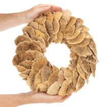 Artikel Baumschwamm-Kranz Natur 37 cm für Wand- oder Türdekoration