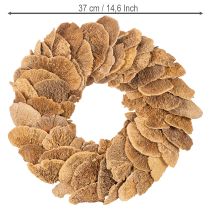 Artikel Baumschwamm-Kranz Natur 37 cm für Wand- oder Türdekoration