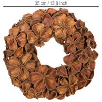 Artikel Getrockneter Landlotus-Kranz aus Naturmaterial, 35 cm, braun