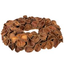 Artikel Getrockneter Landlotus-Kranz aus Naturmaterial, 35 cm, braun