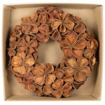 Artikel Getrockneter Landlotus-Kranz aus Naturmaterial, 35 cm, braun
