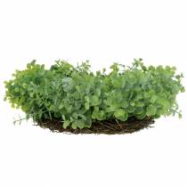 Artikel Kranz Eukalyptus Grün Ø36cm
