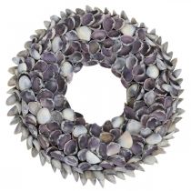 Muschelkranz, Violett Chippy Naturmuscheln, Ring aus Muscheln Ø25cm