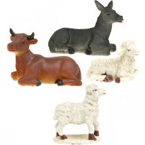 Artikel Weihnachtskrippe Krippentiere Set 4-teilig aus Polyresin, Braun, Weiß, Grau