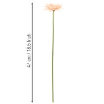 Artikel Künstliche Gerbera aus Kunststoff Apricot 47cm 6St