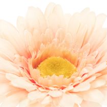 Artikel Künstliche Gerbera aus Kunststoff Apricot 47cm 6St