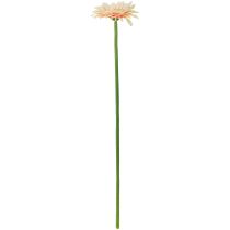 Artikel Künstliche Blumen Gerbera Apricot 47cm